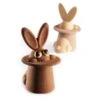Moules Thermoformés Magic Bunny 3D - Kit De 10 Pièces - Pavoni
