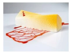 Moule Silicone Pavoflex - 20 Rectangles Vrillés - 60 X 40 Cm - Pavoni