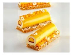 Moule Silicone Pavoflex - 9 Inserts - 60 X 40 Cm - Pavoni