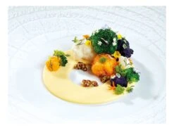 Plaque Silicone Grand Anneau - 6 Empreintes - 40 X 30 Cm - Pavoni