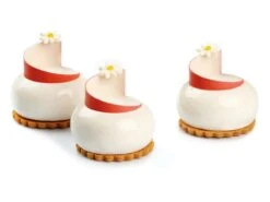 Moule Silicone Pavoflex - 12 Planet - 40 X 30 Cm - Pavoni